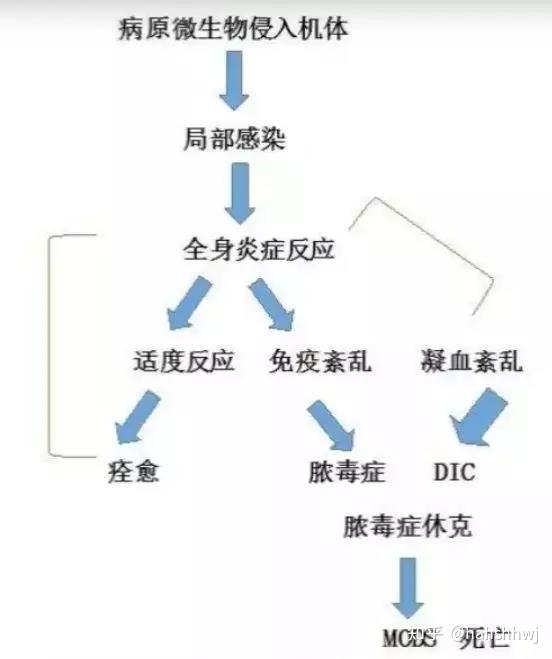 这么危险的病毒,最早出现在哪里?