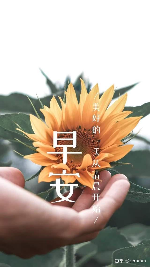 早安心语正能量句子 | 100条日常文案，每天给自己一句早安问候语 - 知乎