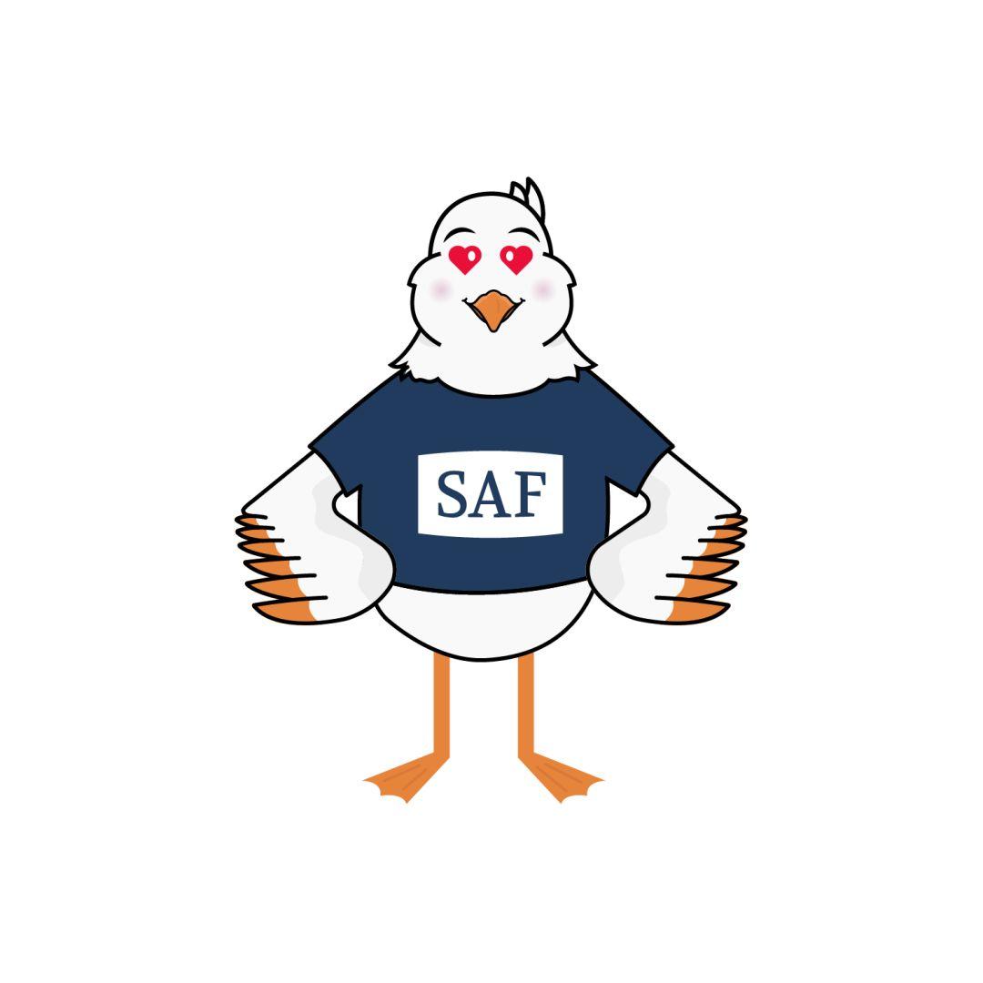 历经三年2024最新版saf吉祥物小海鸥正式上线啦!