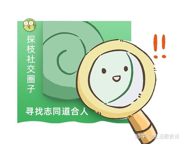 探枝生活分享社交APP告诉你什么是高质量社交APP! - 知乎