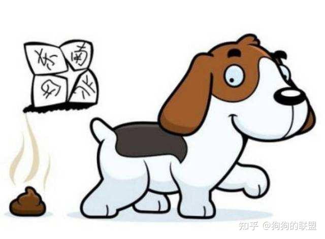 狗狗便便前,为何会“转圈圈”?原来当中还有这5层含义! - 知乎