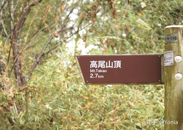 日本最富灵气的仙山 高尾山的晚秋 知乎