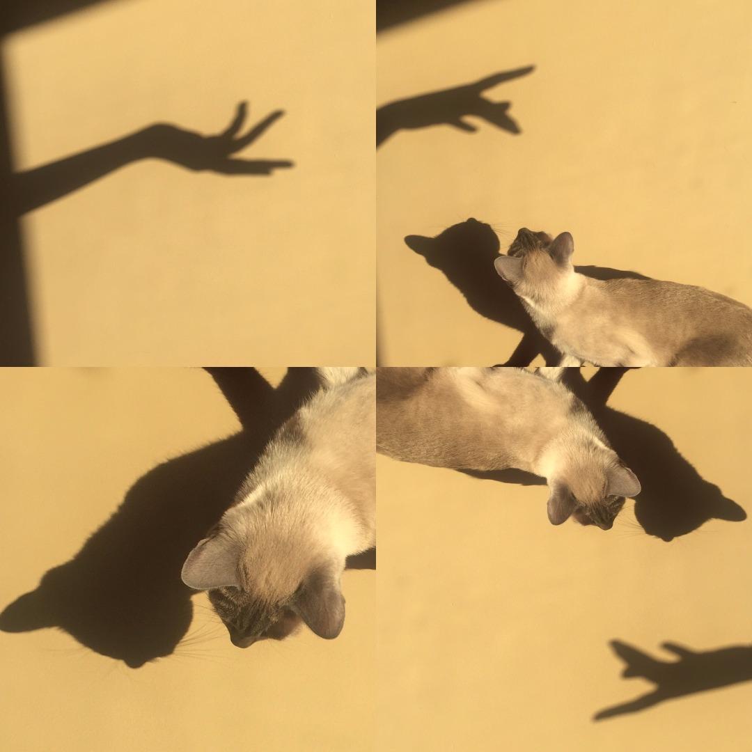 Skin To Skin 白色情人节的洗白攻略 知乎 Skin To Skin 白色情人节的洗白攻略 知乎