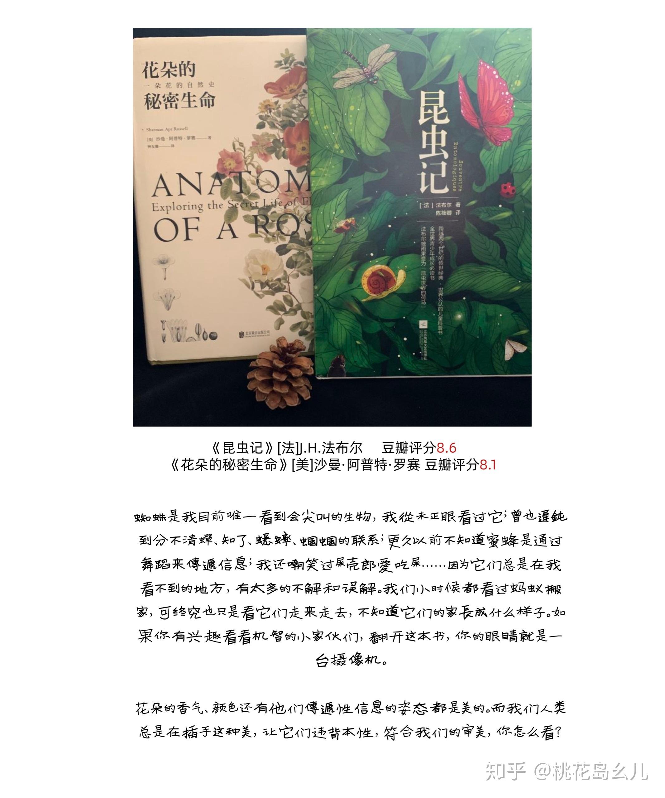 超好读的主题书单