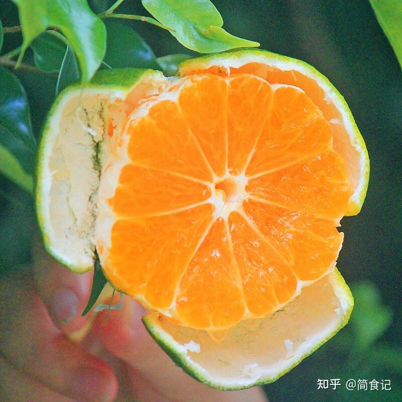 全国哪里的橘子好吃?经过网友评选,这8地比较出名,有你家乡吗
