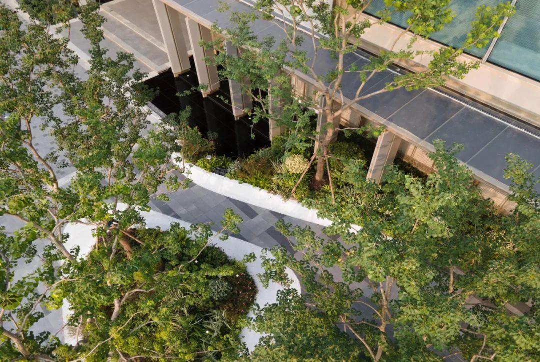 六大创新植物设计案例,编织都市生态空间新纪元 | 栖地设计 - 知乎