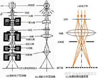 一文看懂透射电子显微镜TEM - 知乎