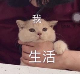 v2-c9b89d9639e63015fce0b3e315f6eb49_b.jpg