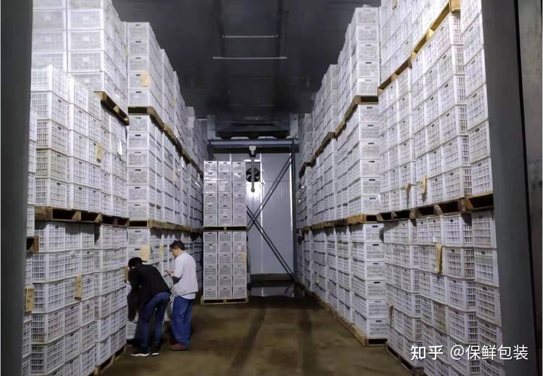 水果贮藏运输保鲜包装技术方案 - 知乎