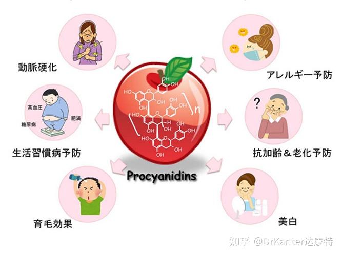 苹果多酚的八大功效一天一个苹果医生远离我