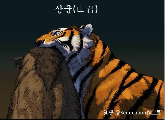 而老虎也因为其拥有的力量和坚韧被认为是山中的灵物,甚至被称为"山君