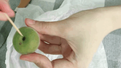 【5月酿酒】青梅酒 青梅果酱