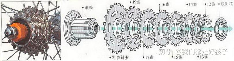 自行车飞轮的结构图片