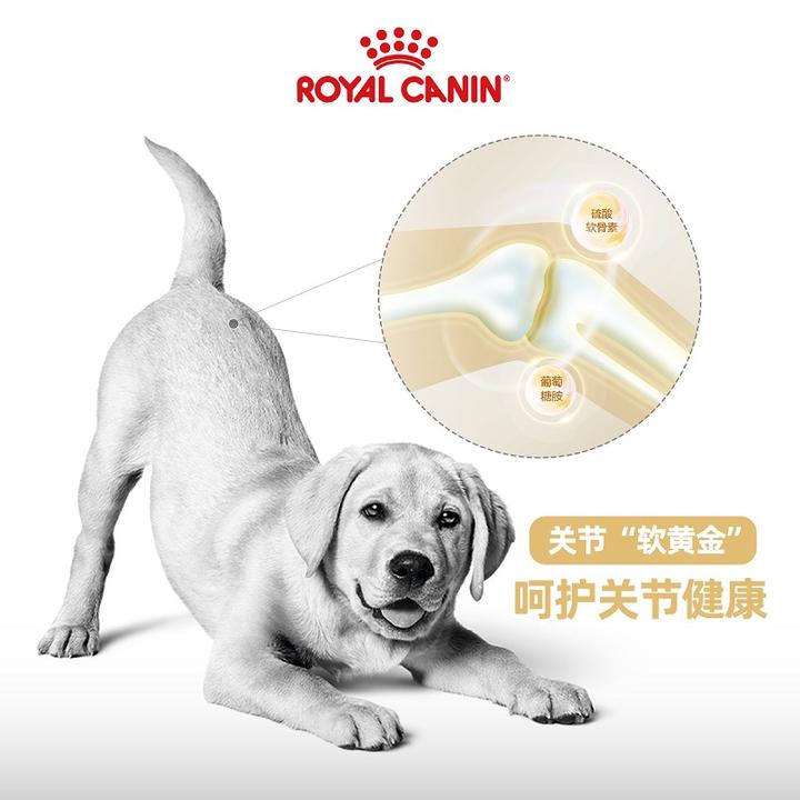 原价 635 现价 618 Royal Canin 皇家狗粮lr30拉布拉多成犬狗粮全价粮12kg 中大型犬成犬维持理想体重 知乎