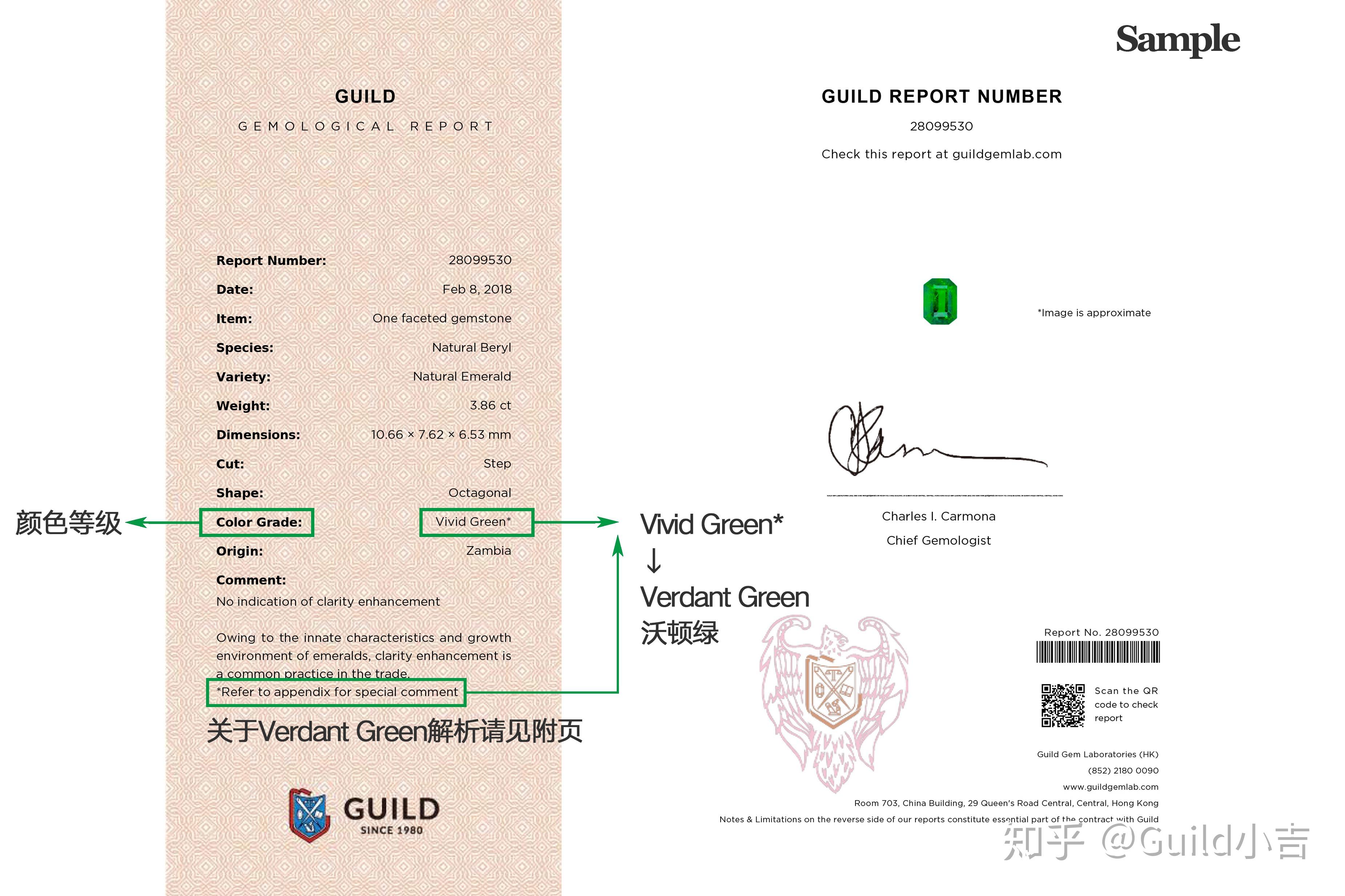 guild证书 zhuanlan.zhihu.com