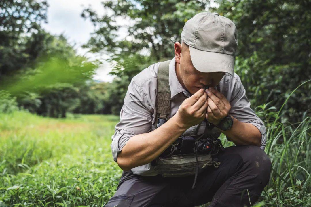 中国贝爷朱炜强我的野外食谱里虫子是配菜