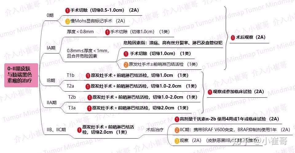 皮肤与肢端黑色素瘤的放疗原则11黏膜黑色素瘤的治疗(1)12黏膜黑色素
