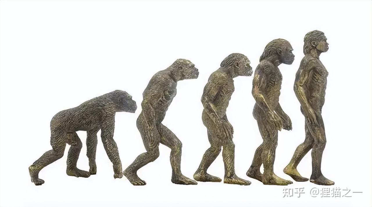 南非发现古人类化石,将人类历史提前一百万年,改写人类进化史 - 知乎
