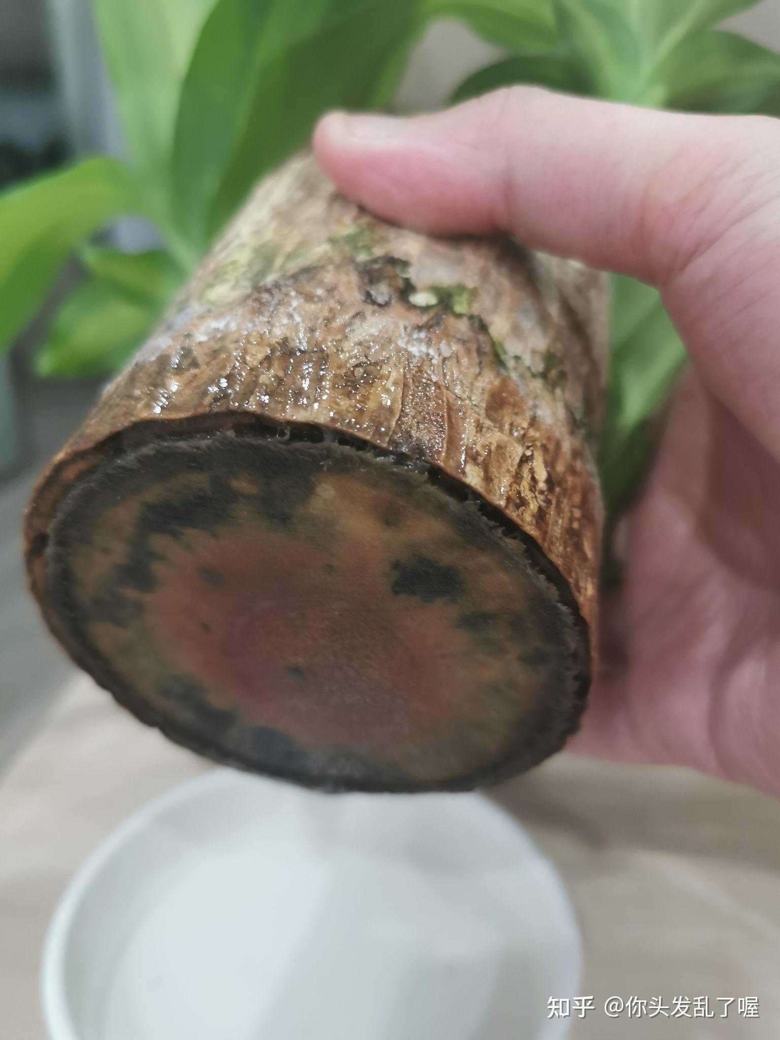 记录一下我在公司巴西木(尽量每天更新)