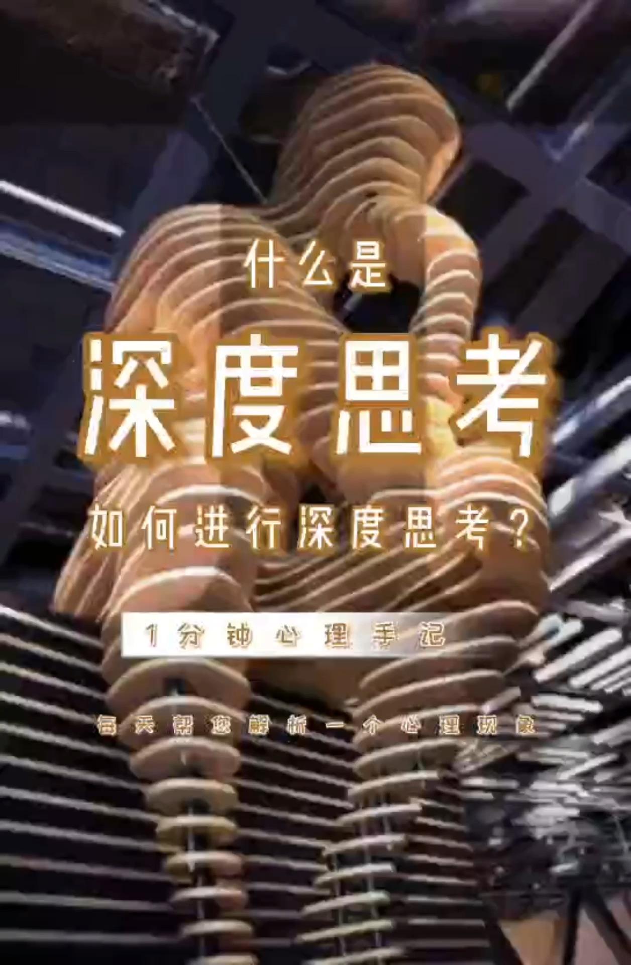 透过表象见本质的深度认知能力和独立思考力