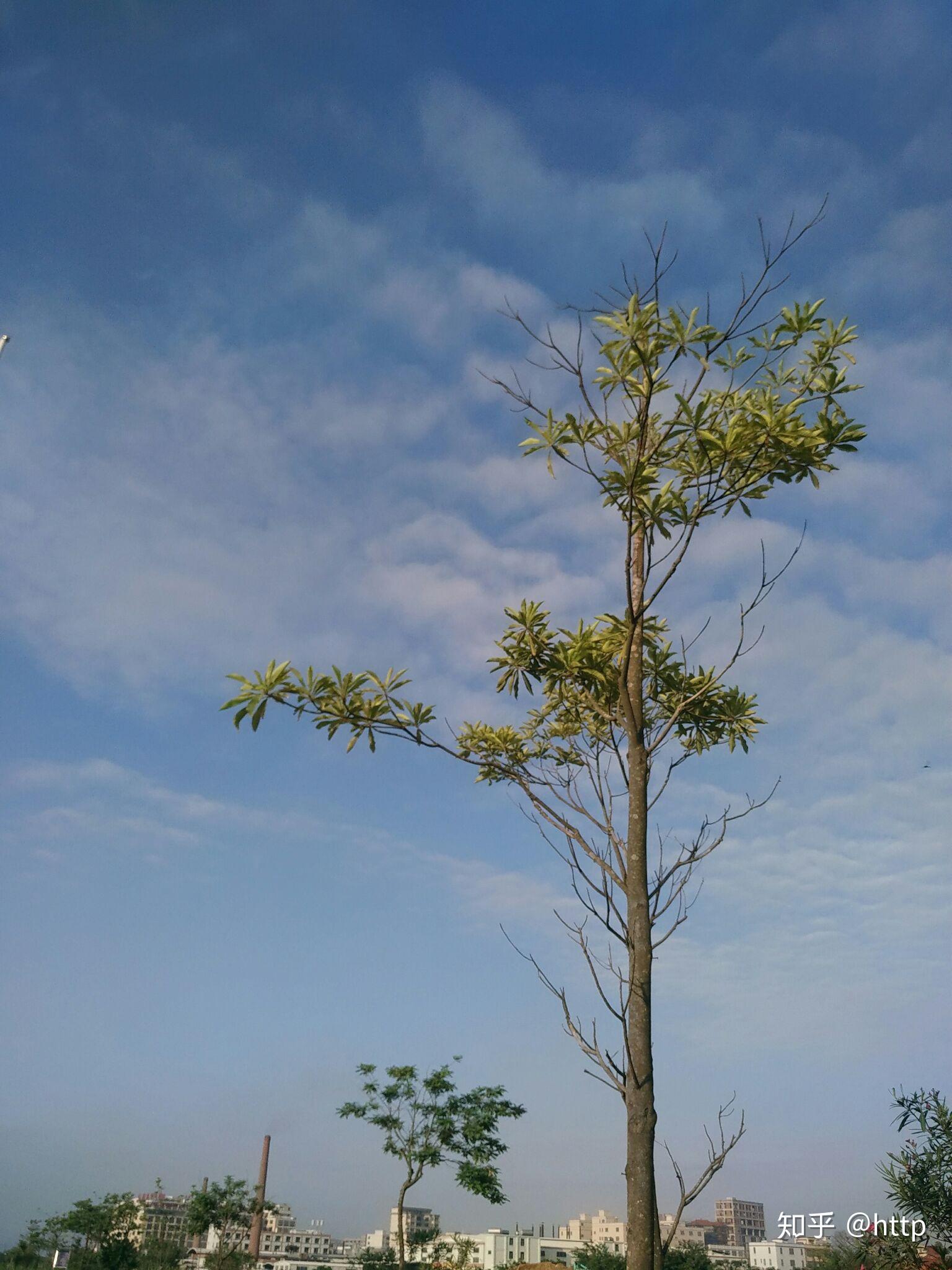 查完2018高考成绩,有何感受?