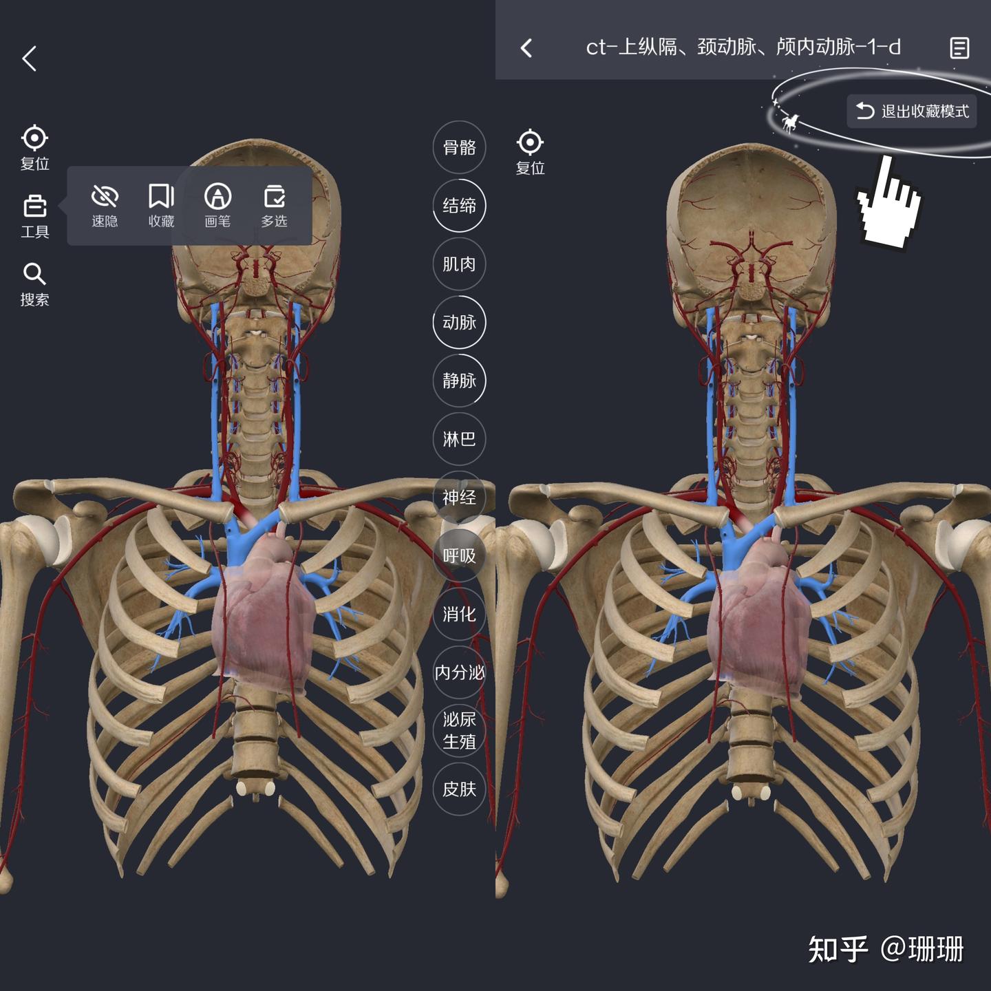 有什么好用的解剖软件？ - 知乎
