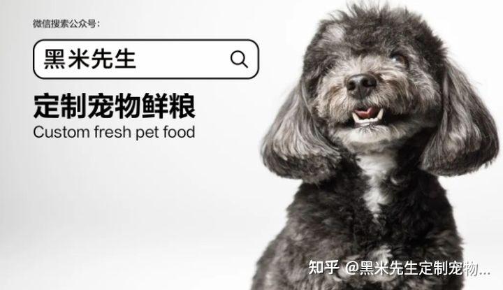 怎么养仓鼠才能养得久一点 v2-ca2bf6759a0fed8896b95317337d2b61_r.jpg