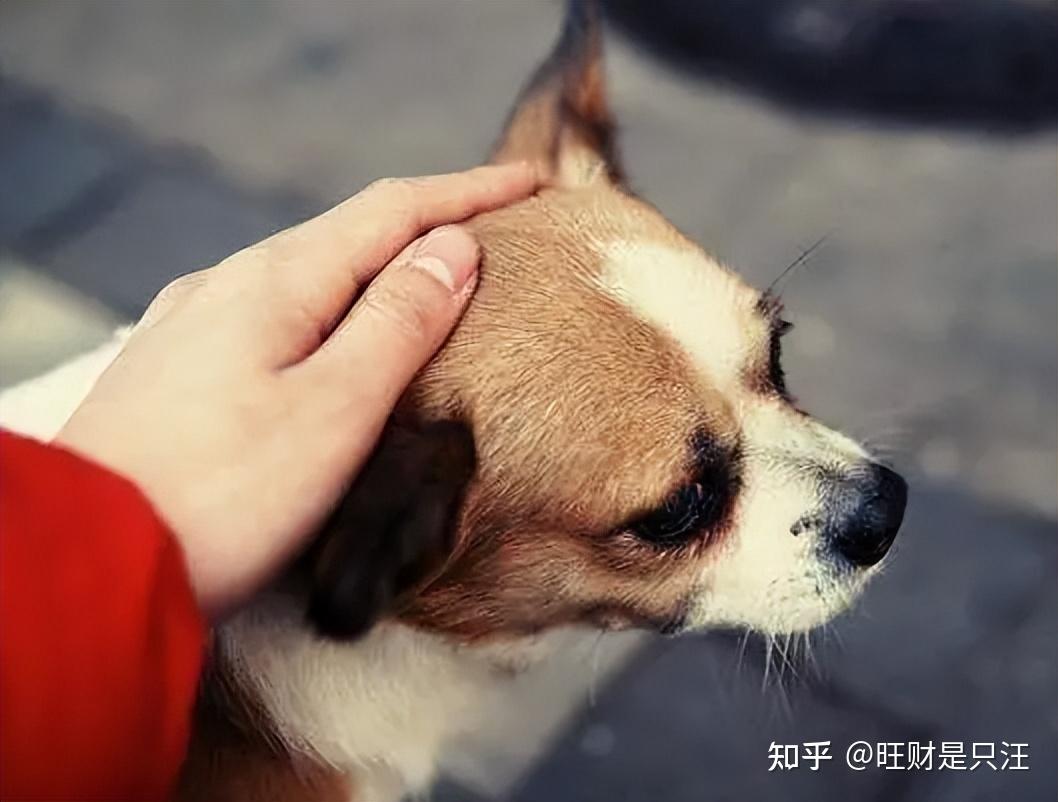 犯错的伤感图片图片