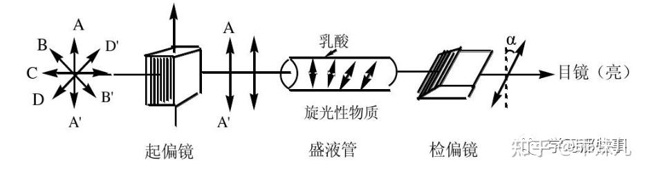 酒石酸对映体图片