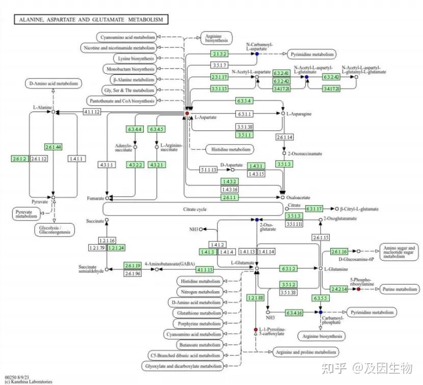 收藏！轻松掌握代谢组学结果解读 - 知乎