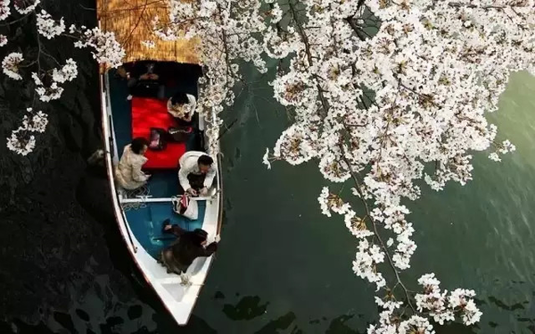 4月后旅行目的地大推荐 知乎