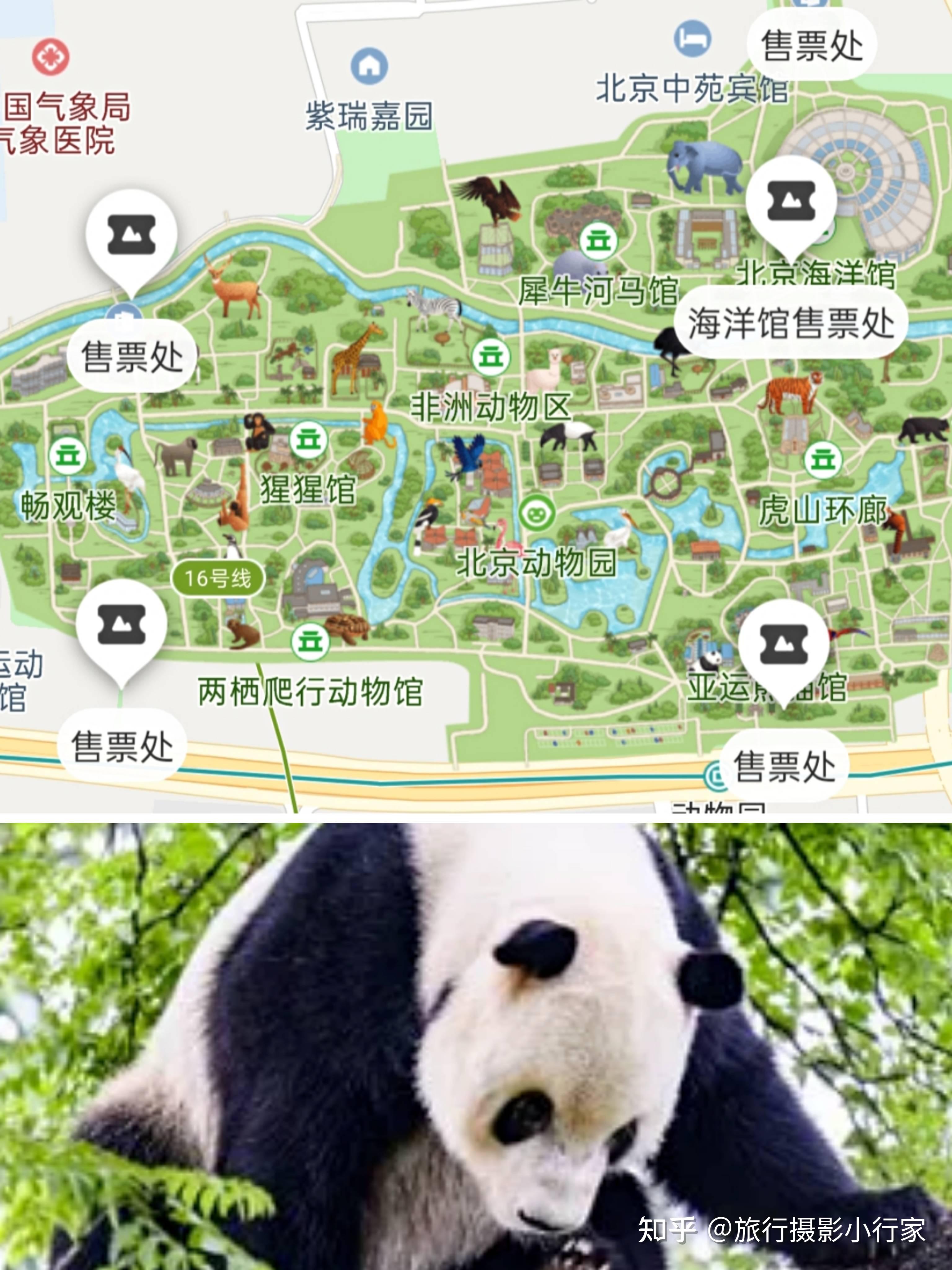北京动物园,北京北京动物园攻略/地址/图片/门票【携程攻略】