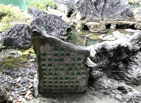 黄果树大瀑布细品-黄果树的瀑布短文答案