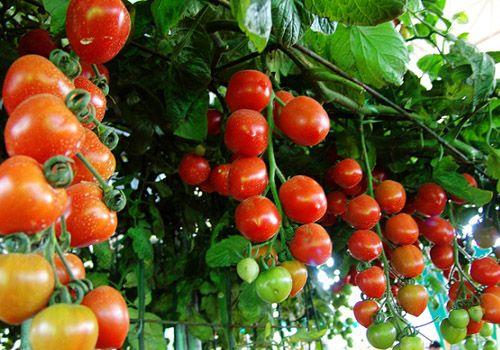 v2-ca63fa03e49168a7a1cbf8554f307a85_1440w.jpg?source=172ae18b