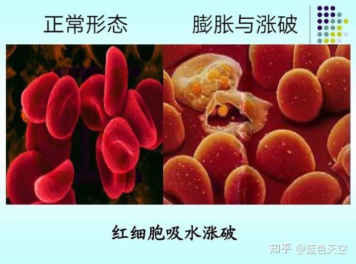 如果现代医学研究不能证明各脏腑功能降低和红细胞吸水膨胀甚至涨破没