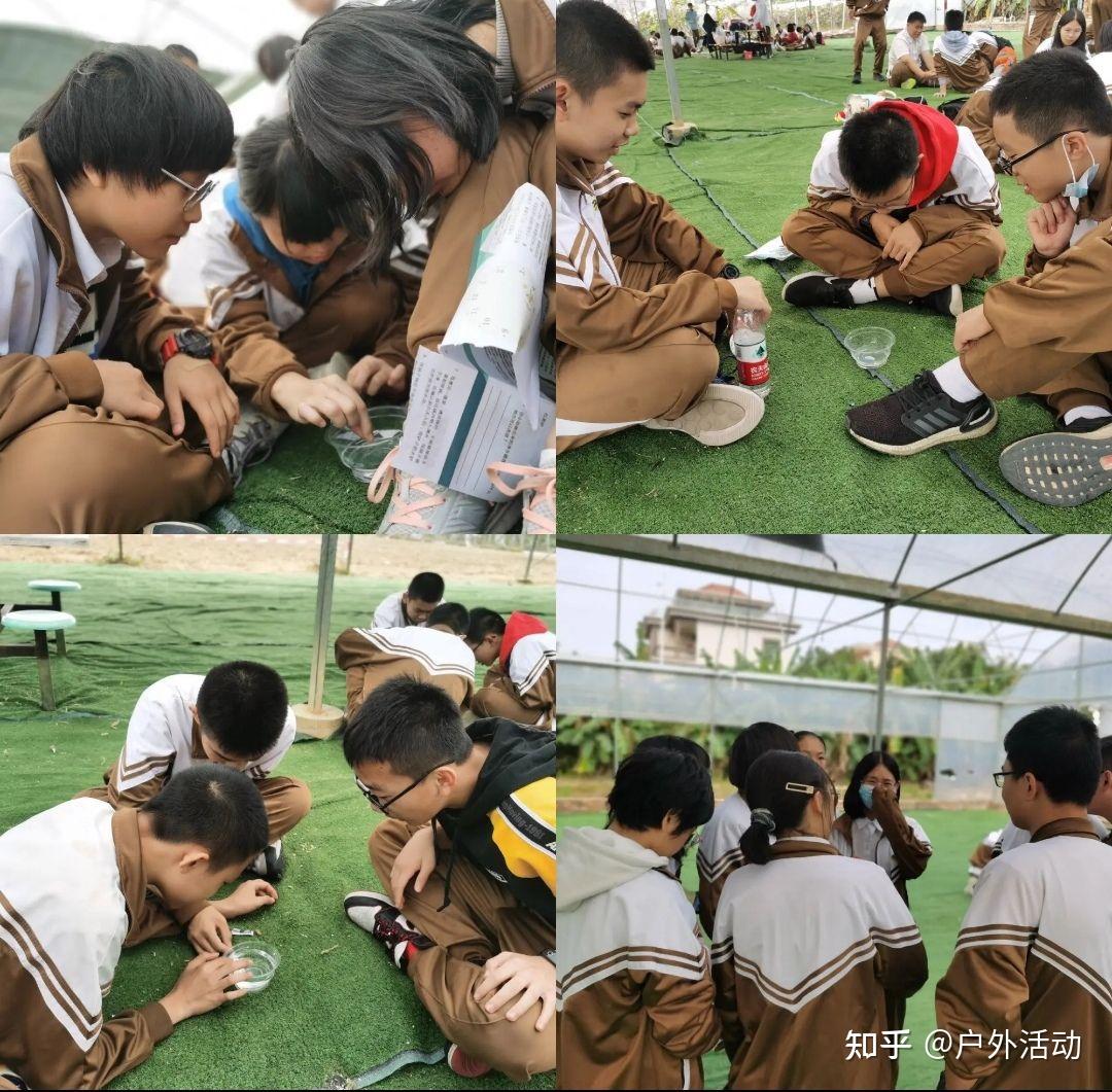 上海长兴岛郊野公园青少年户外研学 - 知乎