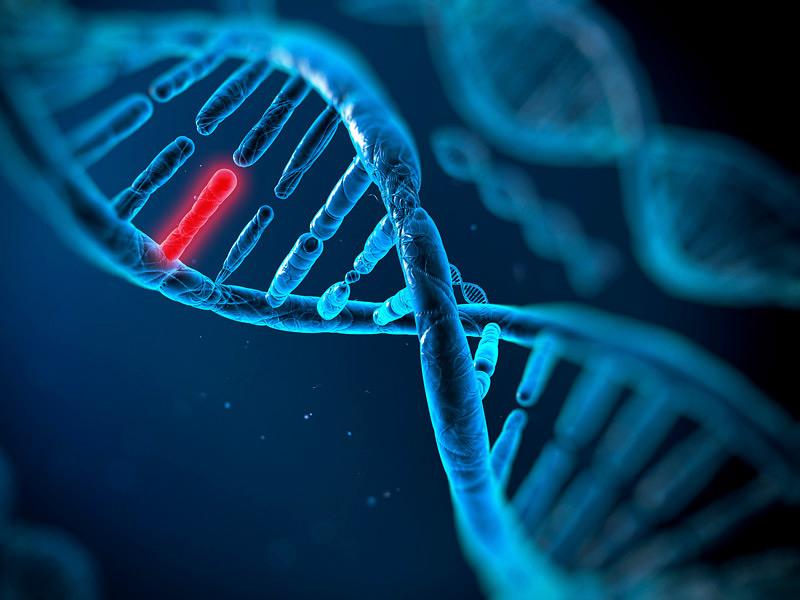 癌症真相:启示与思考