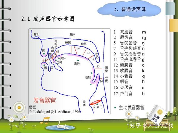 声音，声母的分类，发音部位，发音方法，清音，浊音 - 知乎