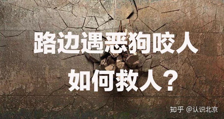 温州恶狗在行凶请爱狗人士伸出你友善的小手掌