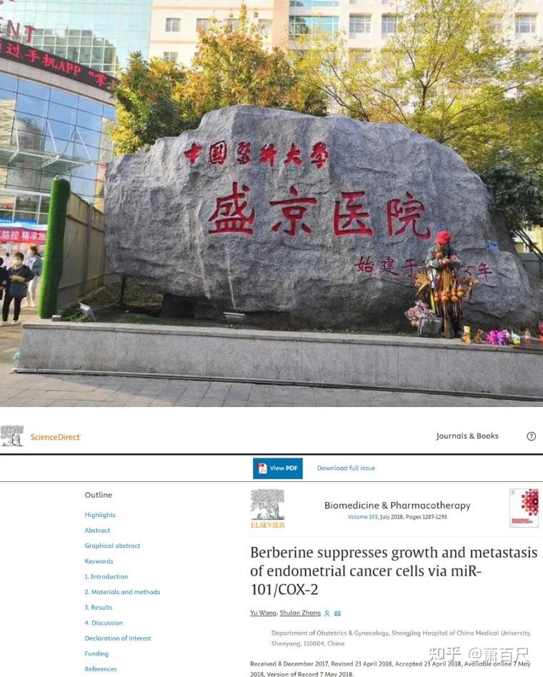 包含盛京醫院（原中國醫科大學第二附屬醫院）黃牛掛號合理收費的詞條