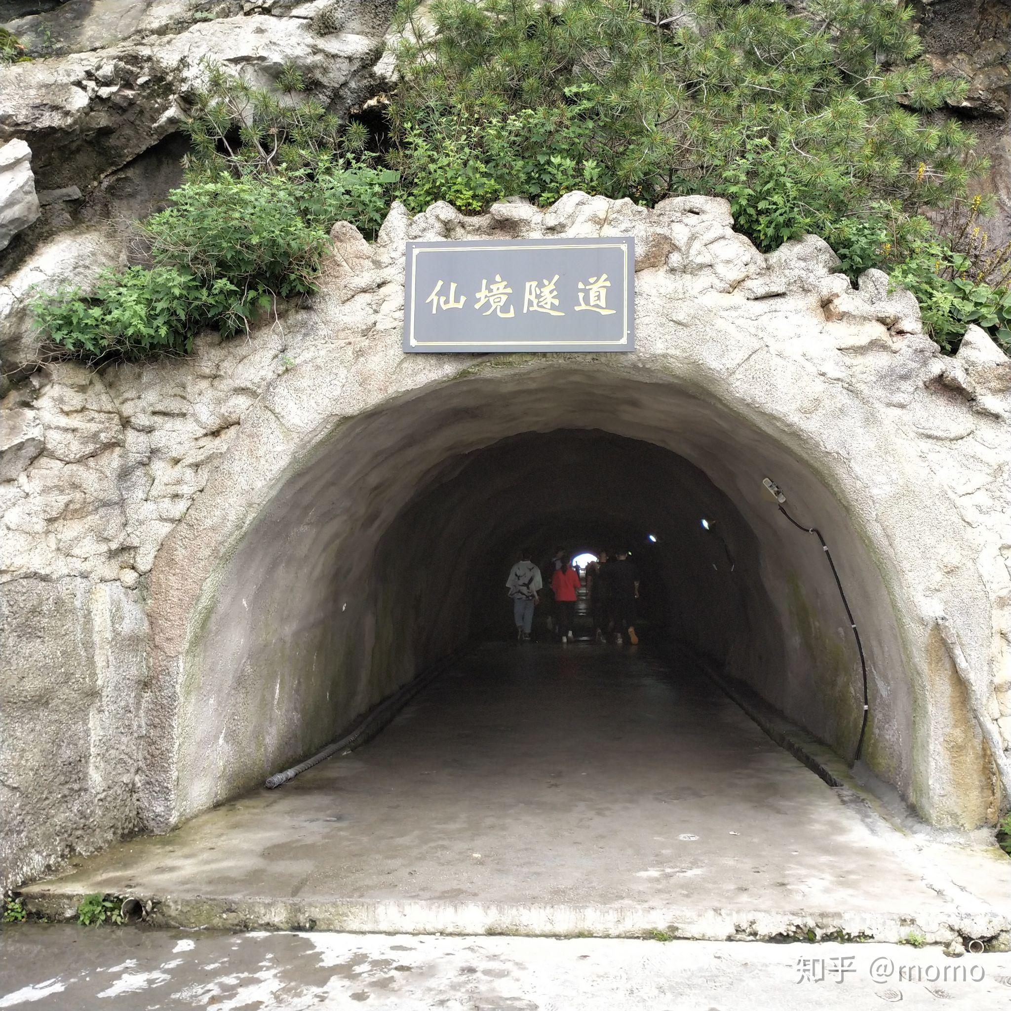 来自爬山小白的老君山攻略(老君山旅游度假区)
