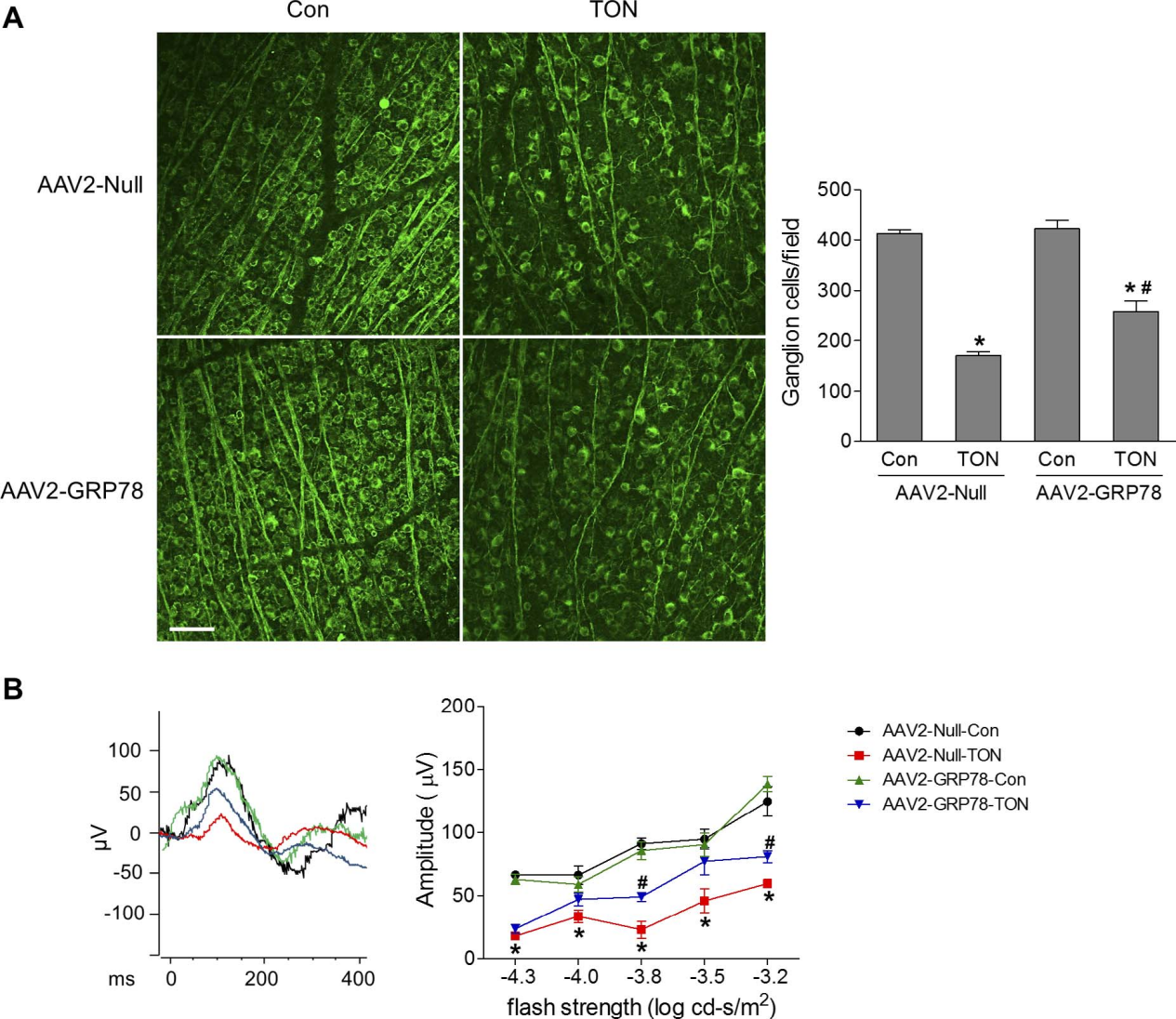【科研实用宝典】aav载体在眼科疾病机制研究中的应用总结 - 知乎