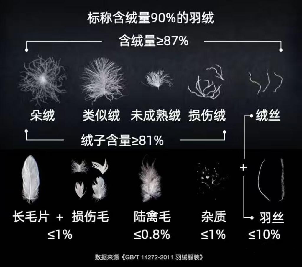 如何挑选羽绒服?(鸭绒鹅绒 充绒量 绒子含量 蓬松度) - 知乎
