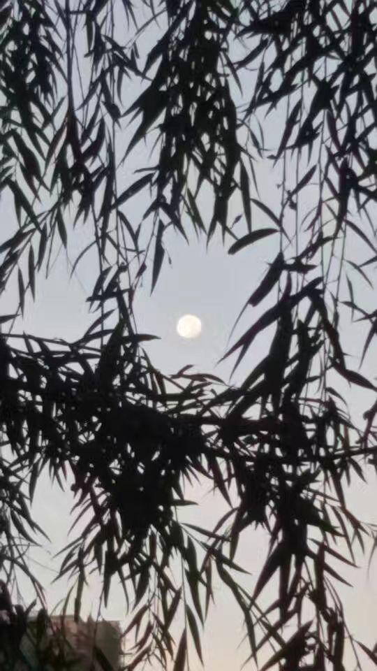 寒月 - 知乎