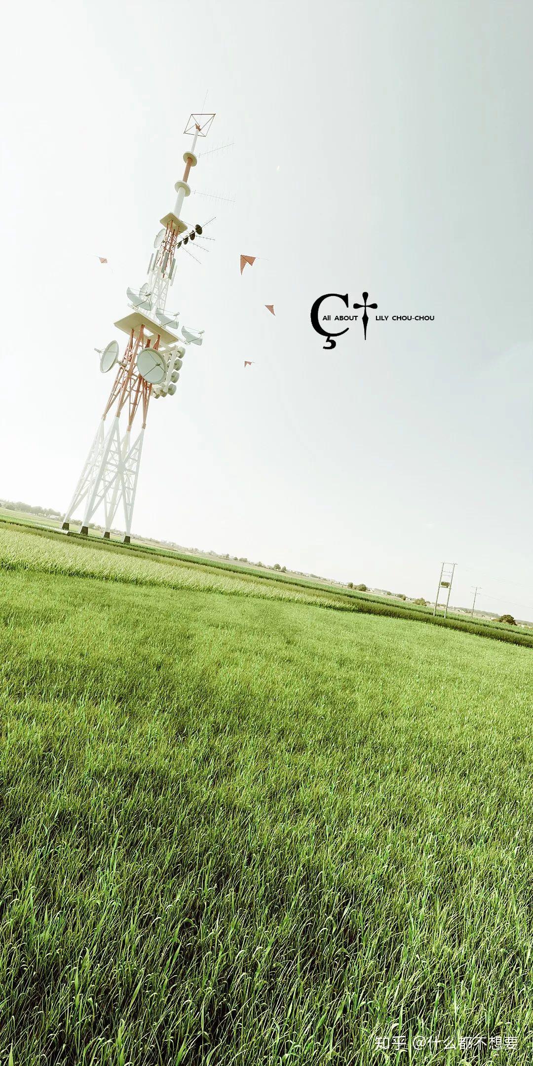 小别问候：关于莉莉周的一张壁纸- 知乎