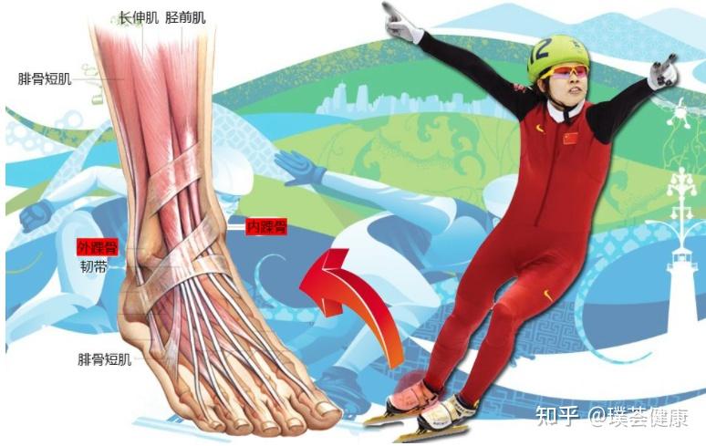 伤病恢复后赛程强度分析