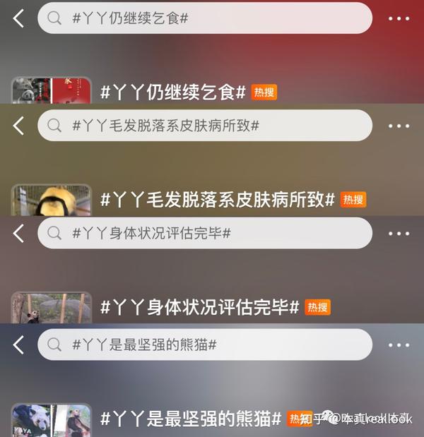 如何让各大搜索引擎搜索收录到刚建的wordpress网站 (如何让各大搜索引擎收录我的网站)