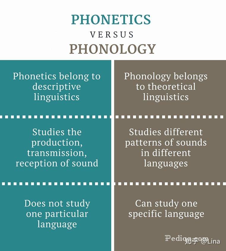 phonetics vs phonology 它俩到底啥关系?
