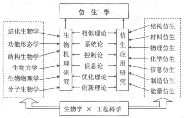 仿生学 - 知乎