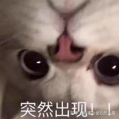v2-cb60ee2057f242f57a99619b045777d9_b.jpg